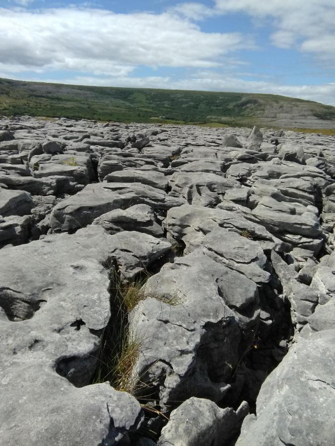 Burren Rock Farmhouse B&B Turlough  Exterior foto