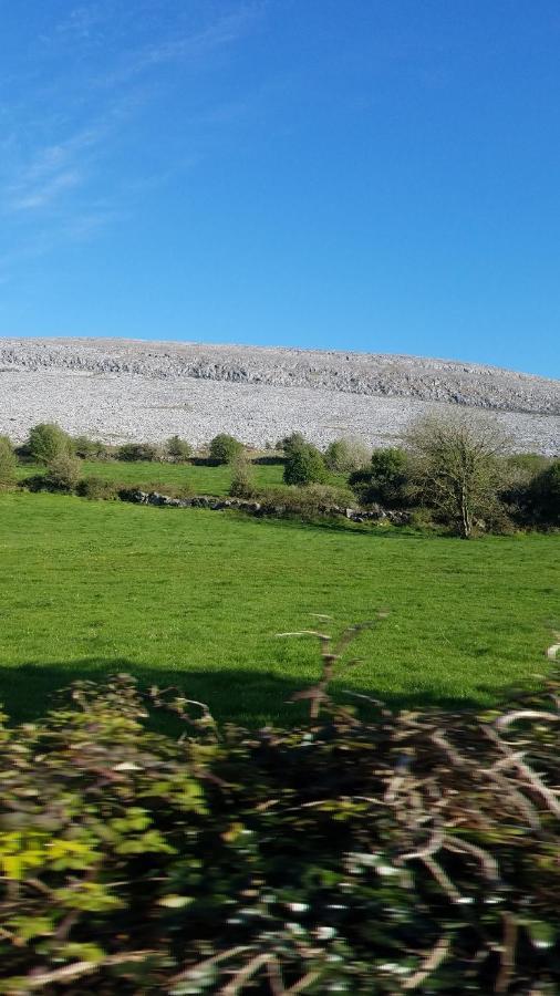 Burren Rock Farmhouse B&B Turlough  Exterior foto