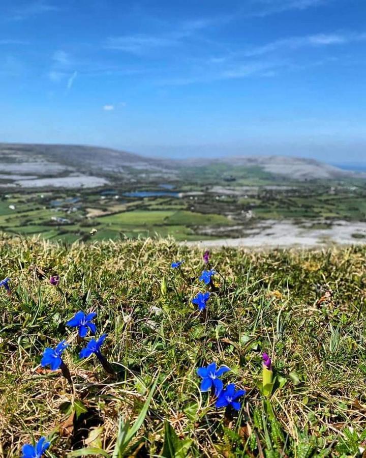 Burren Rock Farmhouse B&B Turlough  Exterior foto